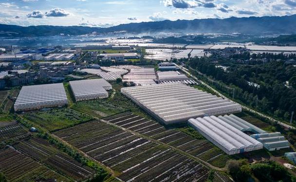 锚定现代化 改革再深化